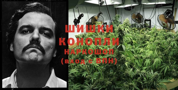 крисы Балахна