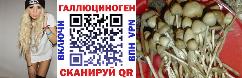 Псилоцибиновые грибы прущие грибы  где купить наркоту  Белоусово 